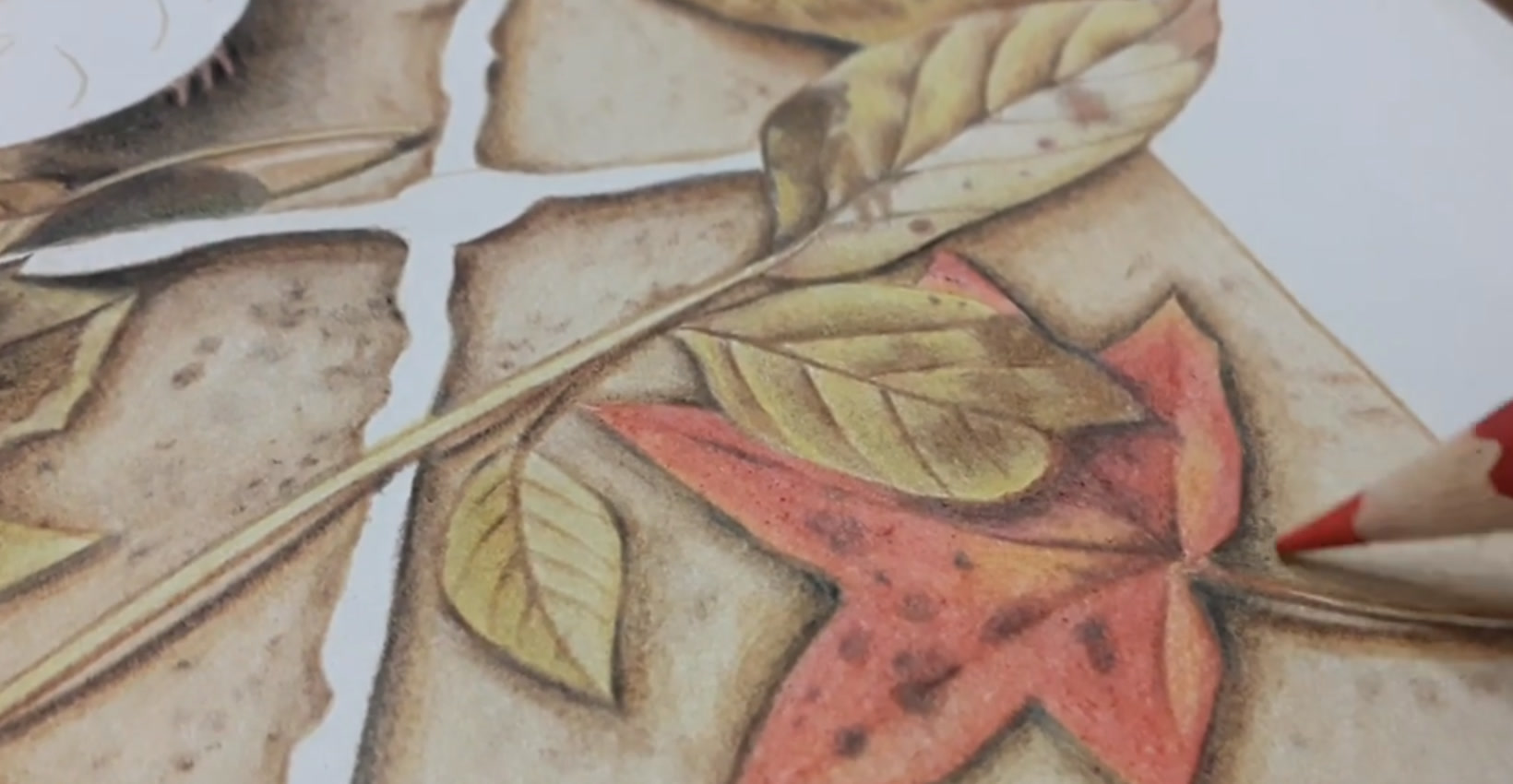 Close-up of a red autumn leaf with dark spots, golden dry leaves and a twig on a stone wall in warm browns, colored pencil detail from Marjolein Bastin’s Posh Adult Coloring Book