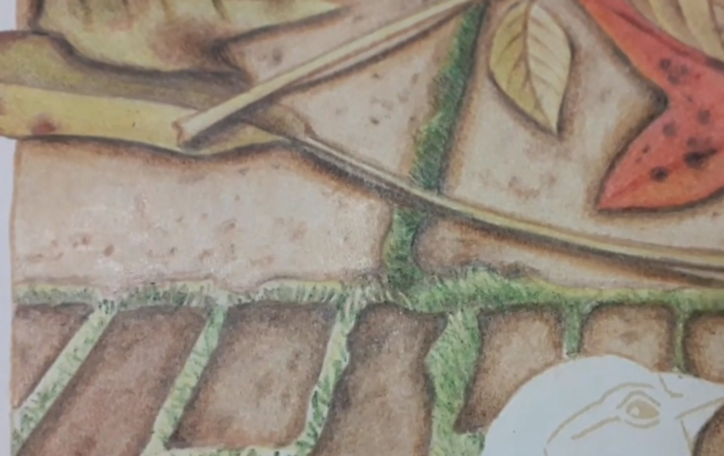 Close-up of green grass and moss growing between old stones, with golden dry leaves, a twig and a red autumn leaf, colored pencil detail from Marjolein Bastin’s Posh Adult Coloring Book