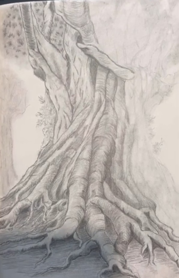 Graphite pencil sketchbook drawing of an old tree trunk with deep bark grooves and large twisting roots spreading over the ground, by Marah Maitale Art
